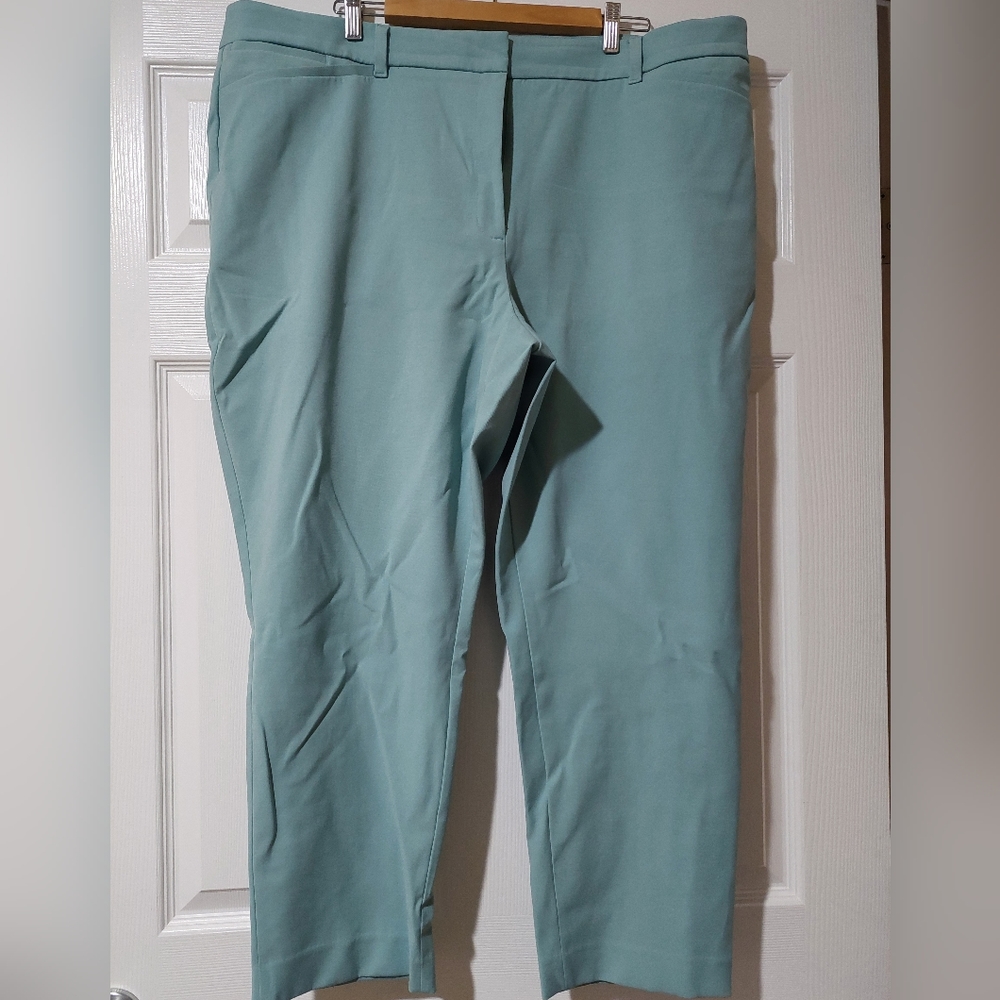 White House Black Market pants 22W